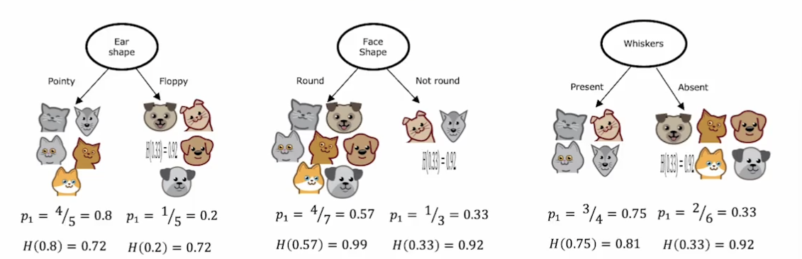 image-20241023145853878